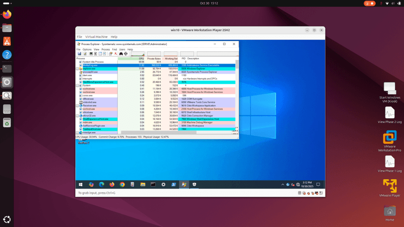 Screenshot of a Windows 10 virtual machine running VMware Workstation Player 25H2, displaying the Process Explorer tool with a list of processes and resource usage metrics.